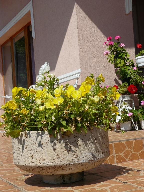 Hejo Apartman Miskolc Buitenkant foto